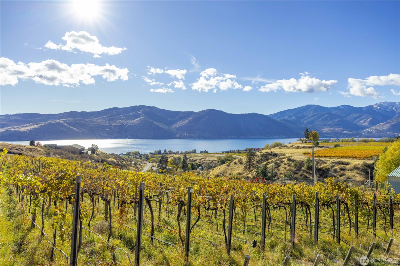 Birdsey Manson Washington